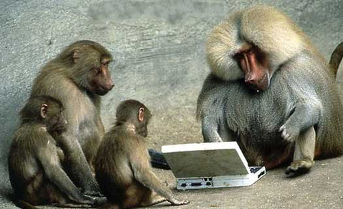 Monkeys at Keyboards